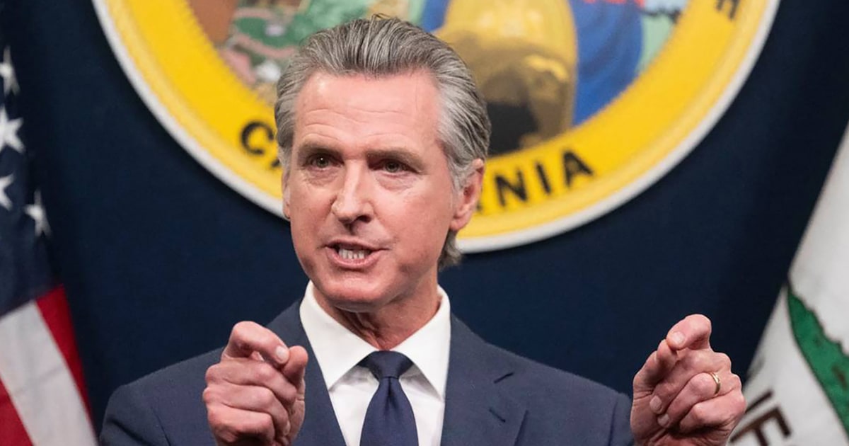 Gavin Newsom says democracy under assault while blasting Trump’s immigration tactics